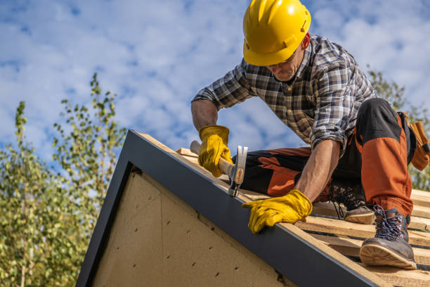 Best Rubber Roofing (EPDM, TPO)  in Luna Pier, MI